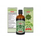 CVETITA HERBAL - GINKO BILOBA MAX​